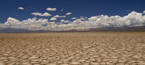 UNDP report suggests climate change could have severe effects by 2050