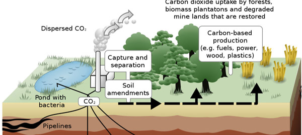 Schematic of the carbon capture and storage process