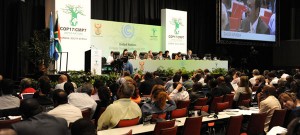 Respond Daily: Day six at COP17