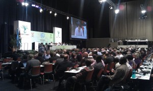 COP17: Late deal saves UN climate talks