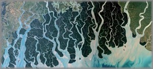 Satellite Photo: Destruction of the Mangrove Forest of the Sundarbans
