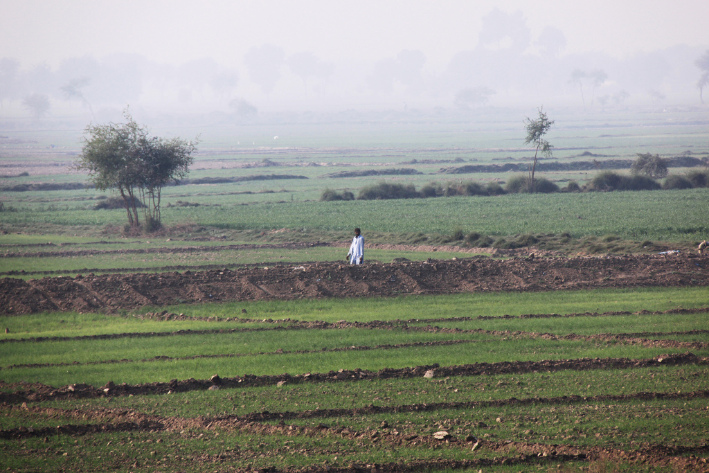 Desertification action not possible until fair land management addressed