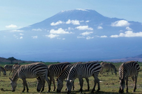Photo of the week #19 - Melting water security on Mount Kilimanjaro