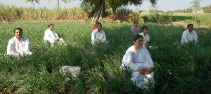 Yogic farming: Hippy culture or the answer to global famine and land degradation?