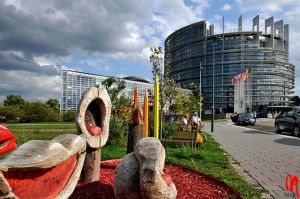 Poland cannot block EU decision to increase climate ambition - WWF