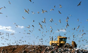 Unilever says waste is history for 50% of factories 