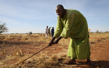 Desertification crisis affecting 168 countries worldwide