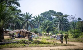 Crime and corruption threaten Congo rainforest