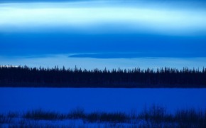 Canada tar sands threatening biodiversity of Arctic circle wilderness