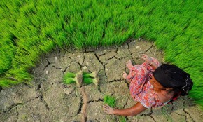 World Bank warns it's time to focus on climate adaptation