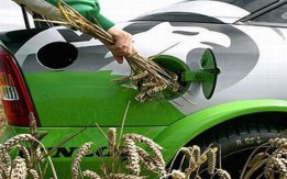 Biofuels could increase UK motor costs by £224 million per year