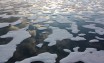 Met Office: Arctic Sea ice is declining