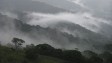Peru's cloud forests could be wiped out by 2100