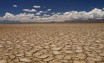 UN land degradation chief outlines ‘climate adaptation’ focus