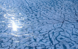 Arctic temperatures hit 44,000 year high