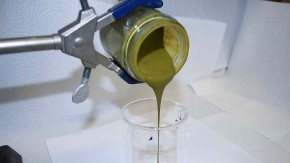 US scientists convert algae into crude oil in under an hour