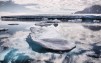Greener Arctic 'warming rapidly' says US agency
