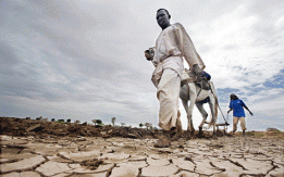 Climate change could crush East Africa's agricultural economy - report