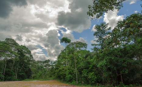 From 1972 to 1992 Texaco extracted oil in a 440,000 hectare concession area, deep in the jungle