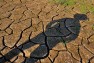 Drought will be 20% more frequent by end of century say scientists