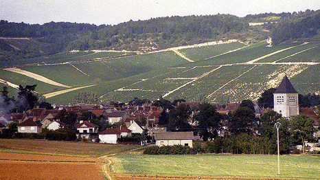 French farmers are feeling the strain as grapes become sweeter in the warm weather (Source: Flickr/PhillipC)