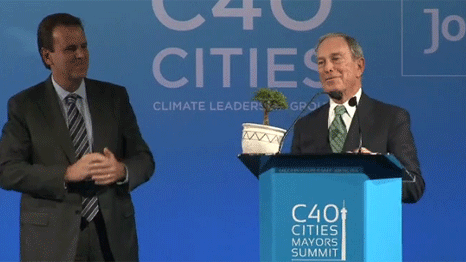 Michael Bloomberg with a little tree.