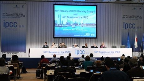 The main plenary hall in Yokohoma, where scientists have gathered this week to discuss their latest findings (Pic: IISD)