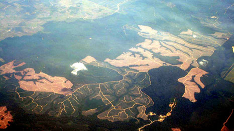 Tropical deforestation for a pulpwood plantation development in northern Riau (Source: Flickr/Wakx)