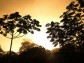 Congo deforestation could cause region to warm 3C by 2050
