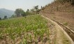 Nepal's hill farmers show why climate finance matters
