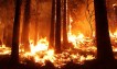California burning points to more frequent wildfires
