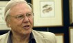 David Attenborough: UK must embrace climate migrants