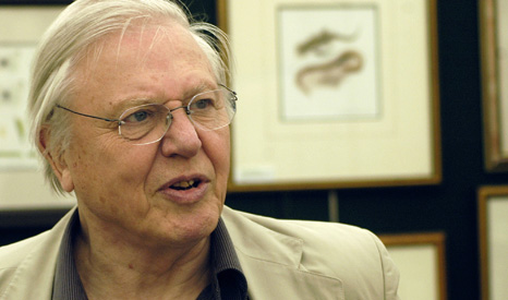Sir David Attenborough: whether climate change is man-made is "yesterday's argument" (Pic: RSPB)