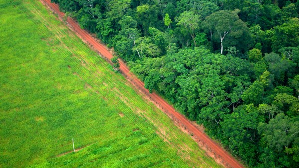 Forest cleared for agriculture in Acre, Brazil (Pic: CIFOR/Kate Evans)