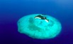 UN: Expand marine protection zones to cope with climate threat