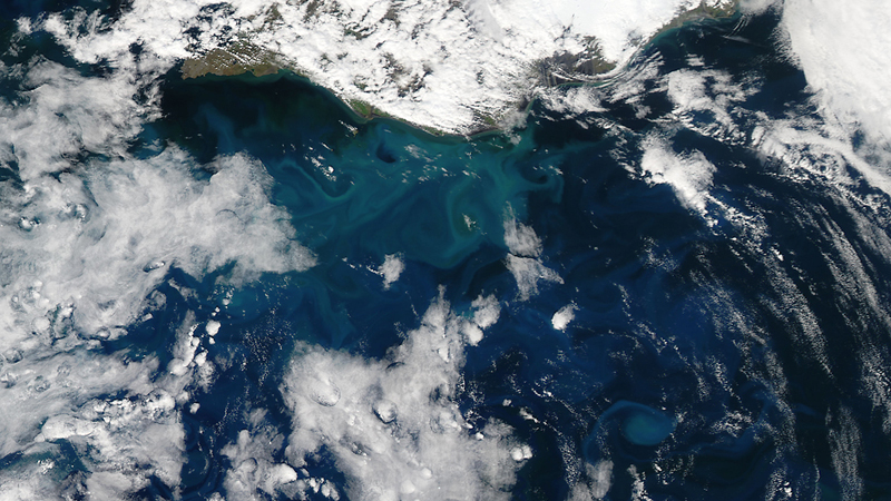 Geoengineering: Pumping iron into oceans could backfire