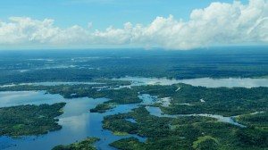 Amazon Basin drought stunts planet's 'green lungs'