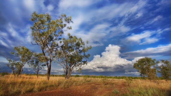 Australia's outback (Pic: Flickr/Chris Ford)