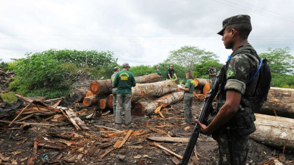 Brazil is deploying its military to combat illegal logging (Pic: Exército Brasileiro/Survival International)