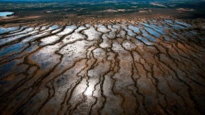 Exxon Mobil shareholders renew call for 2C climate analysis