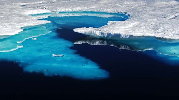 Icebergs in eastern Greenland (Flickr/ Mariusz Kluzniak)