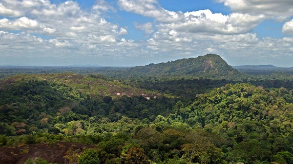 Hopes for zero deforestation in Brazil climate plan