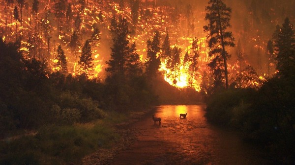 Fire ravages the Alaskan wilderness (Flickr/Image Editor)