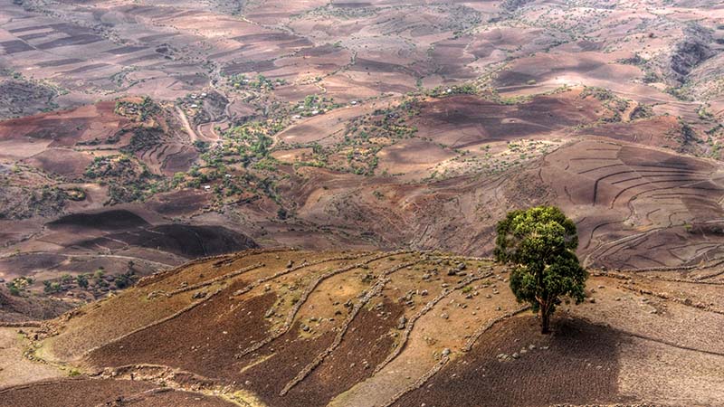 ethiopia-submits-carbon-cutting-plan-for-un-climate-deal