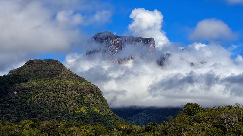 Cerro Autana in the Venezuelan Amazon. It possesses 54 million hectares of primary rainforest (Flickr/ Fernando Flores)