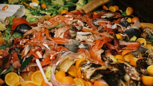 How cutting food waste could help the climate