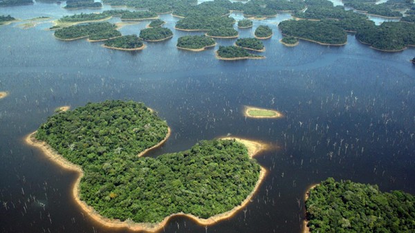 Brazil big hydro ravages wildlife - study