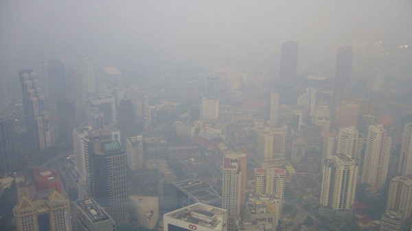 Indonesia climate pledge hazy on deforestation - analysts