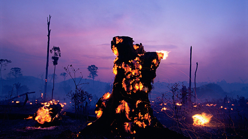 DEFORESTATION, BRAZIL. The Amazon, Roraima State, 3/98. Forest fire. (Flickr/ BBC World Service)