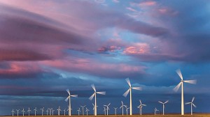 Coalition of 17 US states signals support for wind, solar